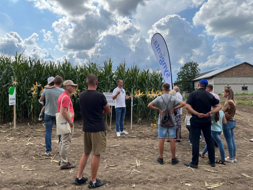 Pola Klasy S Kukurydza, Czyżew Fot. Syngenta