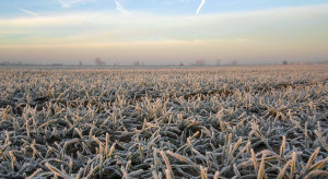 GAEC 6: Zaplanuj pokrywę glebową na zimę