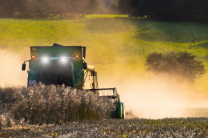 USDA: mniejsza prognoza produkcji oleistych w sezonie 2023/2024