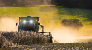 USDA: mniejsza prognoza produkcji oleistych w sezonie 2023/2024