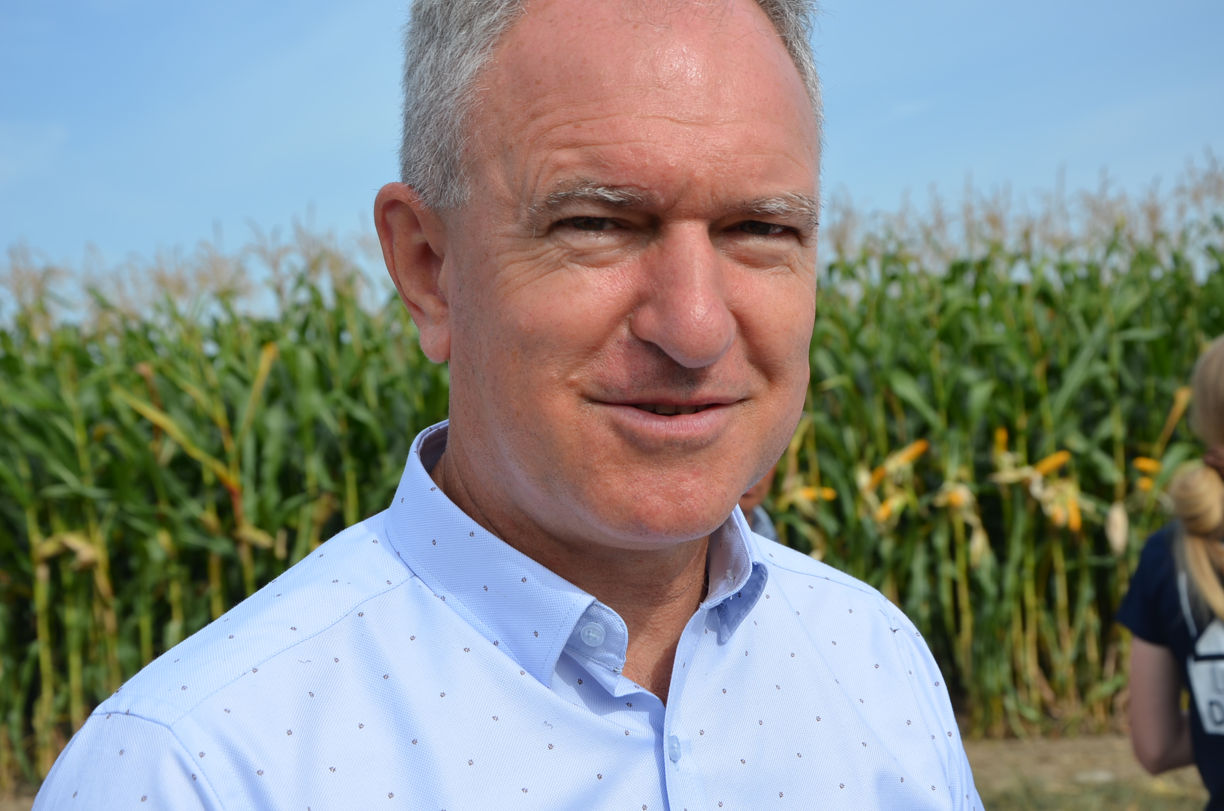 Cena kukurydzy mokrej we wrześniu jest bardzo niska. Produkcja poniżej