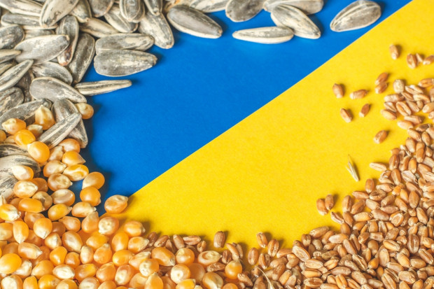 Bułgaria: Posłowie przeciw przedłużeniu zakazu importu zboża z Ukrainy, rolnicy wściekli