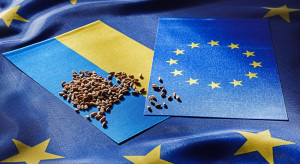 KE dementuje: Nie ma wniosku o przedłużenie zakazu importu zboża z Ukrainy