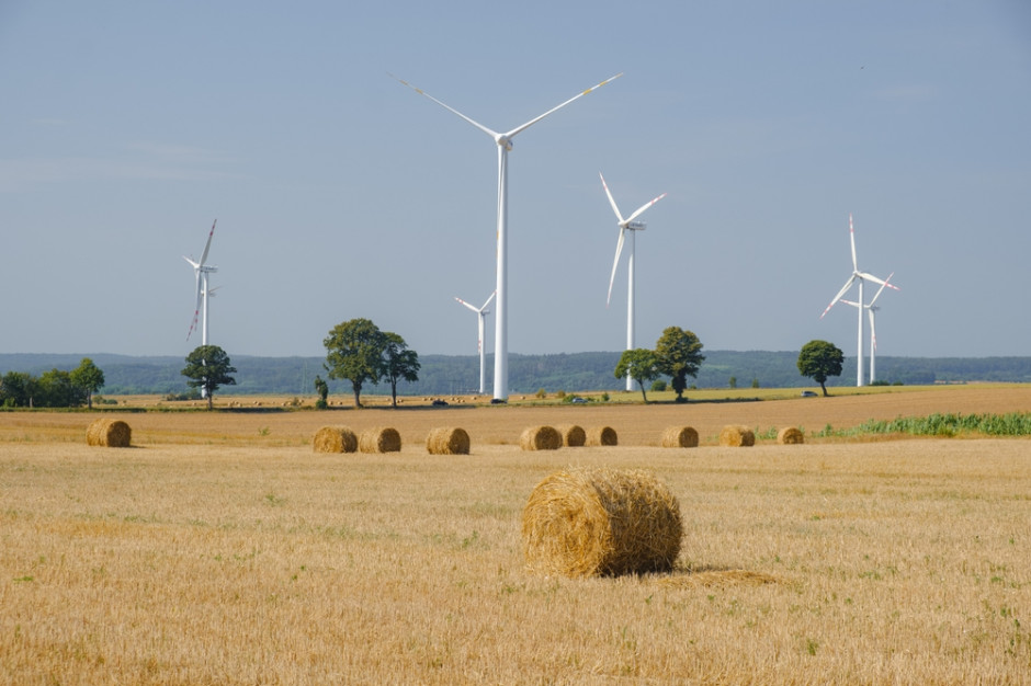 Czy energia i ciepło z OZE może zastąpić węgiel w Polsce? Fot. Shutterstock