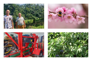 Innowacyjny Farmer: Sami opracowali technologię wychowu trzmieli. W jakim celu?