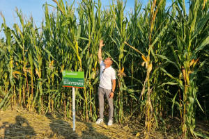 Osadkowski z ofertą odmian kukurydzy i traw na kolejny sezon