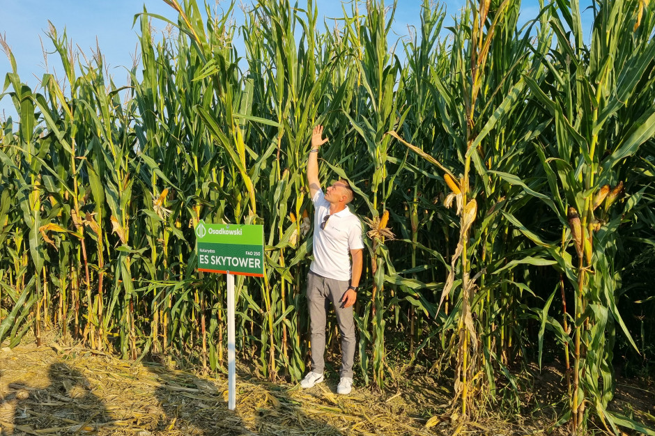 Oprócz polecanych i nowych odmian kukurydzy firma Osadkowski zapowiedziała nową gamę mieszanek traw (fot. JŚ-S).