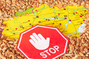 Rumunia przedłuża na 30 dni zakaz importu zbóż z Ukrainy i wprowadza licencje