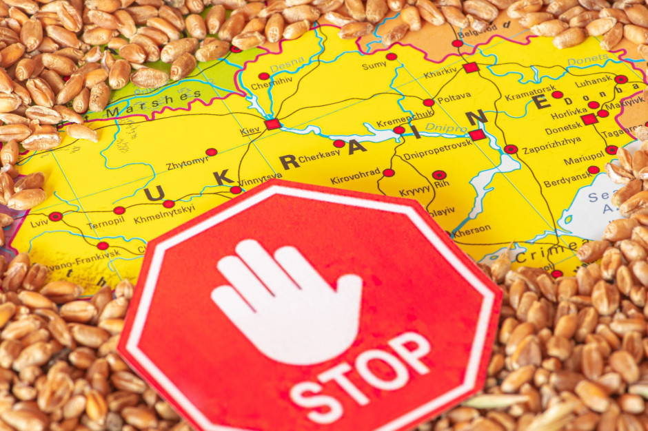 Rumunia przedłuża na 30 dni zakaz importu zbóż z Ukrainy i wprowadza licencje. Foto. Michele Ursi, Shutterstock