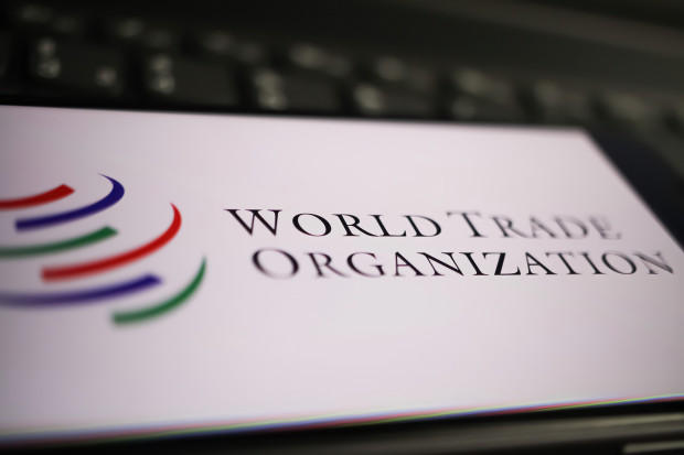 Rewanż Ukrainy? Jest skarga do WTO. Kijów zapowiada dalsze kroki