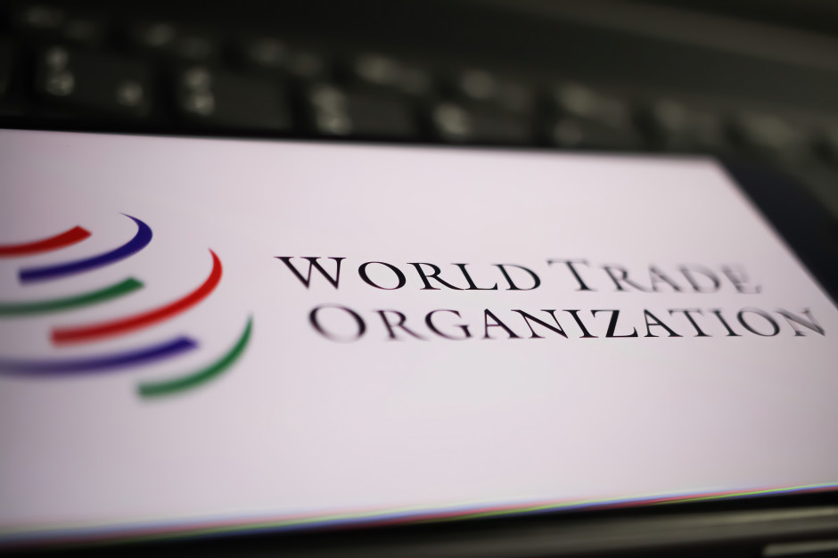 Ukraina złożyła do WTO skargę na Polskę, Węgry i Słowację, fot. Ralf Liebhold/Shutterstock