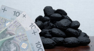 Prices of coal and eco-pea coal lower than in PGG in February 2024. Where to buy?