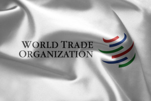 Ministrowie rolnictwa V4: oczekujemy wycofania skargi Ukrainy do WTO