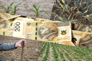 Od 20 września można podpisać i wysłać wniosek suszowy w aplikacji