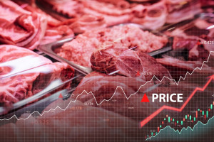 Pozew antymonopolowy przeciwko firmie Agri Stats