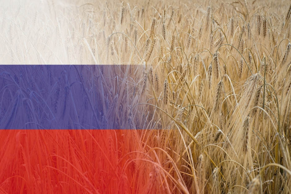 Rosyjski rząd obniżył cła eksportowe na pszenicę; fot. Shutterstock