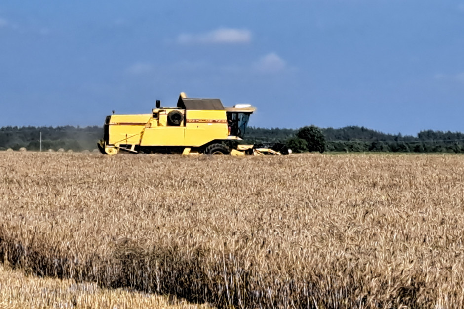 Ile Wyniesie Podatek Rolny W 2024 Roku? Niestety, żyto Podrożało