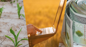 Up to PLN 1,000 per hectare for crop losses. Applications for support only until March 15