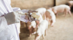 Progress in developing a vaccine against ASF