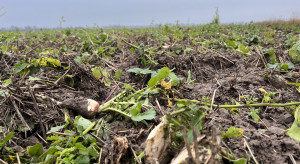 Will the rates for eco-schemes change?  Responsible to the Ministry of Agriculture and Rural Development