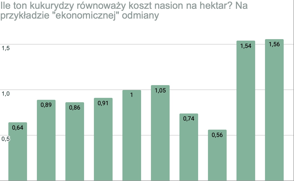 Materiał siewny kukurydzy droższy nawet o 100 proc!