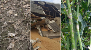 2023 through the lens of damage control in agriculture. What will 2024 be like?