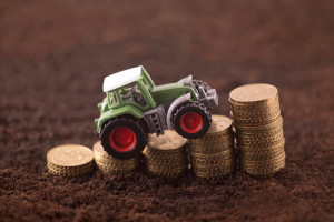 Projekt rządowy: podatek rolny miałby pozostać na poziomie z 2023 r.