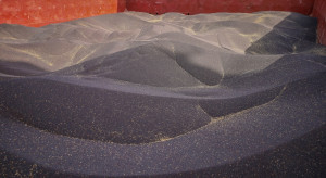 Have technical rapeseed and sunflower also entered Poland?