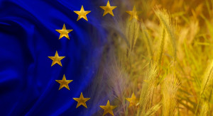 Between Brussels and Kiev: 20 years of Polish agriculture in the EU