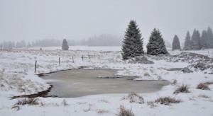 Ecological area in Europe in hectares. Data also from Russia and Ukraine