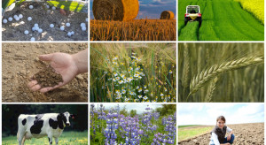 Calendar year or agrotechnical year when settling eco-schemes? Calendar year or agrotechnical year when settling eco-schemes?