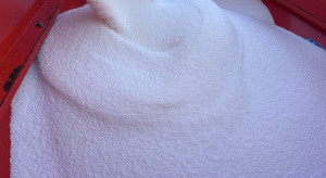 How much phosphorus for corn?  Is application through a grain pan better?