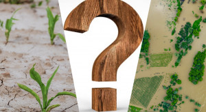 The EC counted how much it spent on agricultural crises in the last decade