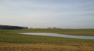 Ponds may mean that the soil needs to be regenerated