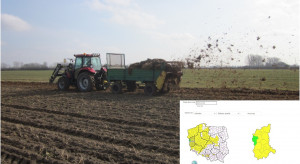 When can you fertilize with manure?  The first district has this option