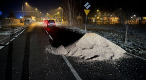 Demonstrace farmářů. Paša na silnici u Namysłówa