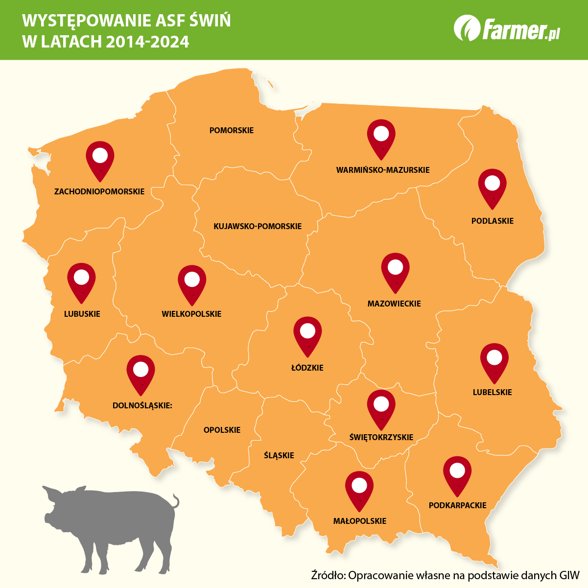 Mija dziesięć lat walki z ASF. A końca nie widać