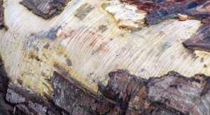 Government subsidies only for certified heat pumps in insulated houses