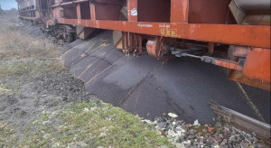 Maciej Gogulski, plenipotentiary for animal welfare