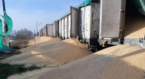 Ambassador of Ukraine in Poland on pouring grain from wagons: Punish for shameful acts