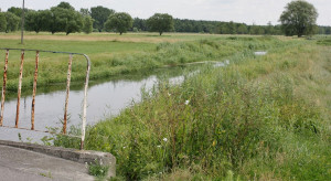 PiS MEPs: EU regulations on the reconstruction of natural resources hit farmers