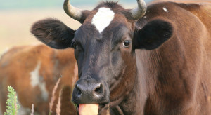 Which agricultural organizations will receive 1.5 percent? from agricultural tax?