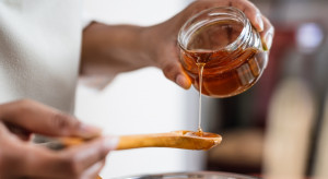 Is honey imported to Poland dangerous to health?  We know the results of the GIW inspection