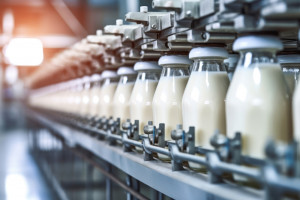 Produkcja mleka w UE maleje. Czy będzie drożej?