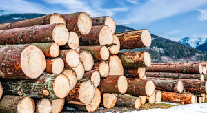 To koniec nielegalnego importu rosyjskiego drewna do Europy?