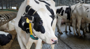 The Green Deal and the Polish dairy industry.  What can we lose?