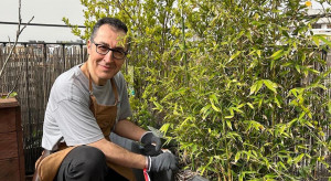 Balcony failure of the German Minister of Agriculture.  He planted bamboos for the bees