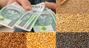 Cereal subsidies 2024: a regulation that has never been heard of