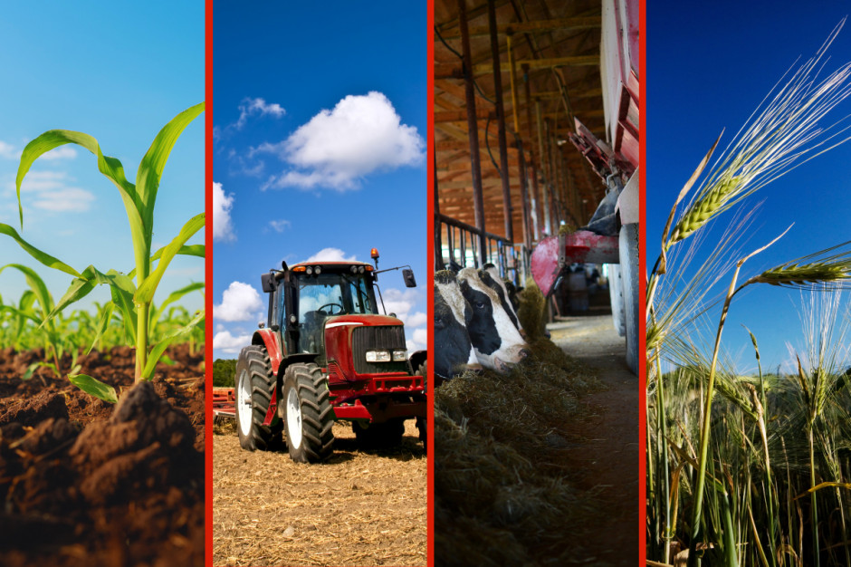 AGRO Ubezpieczenia chronią uprawy, zwierzęta, majątek i maszyny rolnika