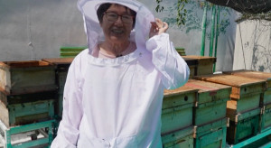 Pszczelarstwo miejskie to hit na Tajwanie. Choć ten rok nie zaczął się pomyślnie